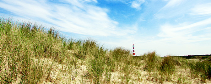 672 x 280 Natuur Ameland